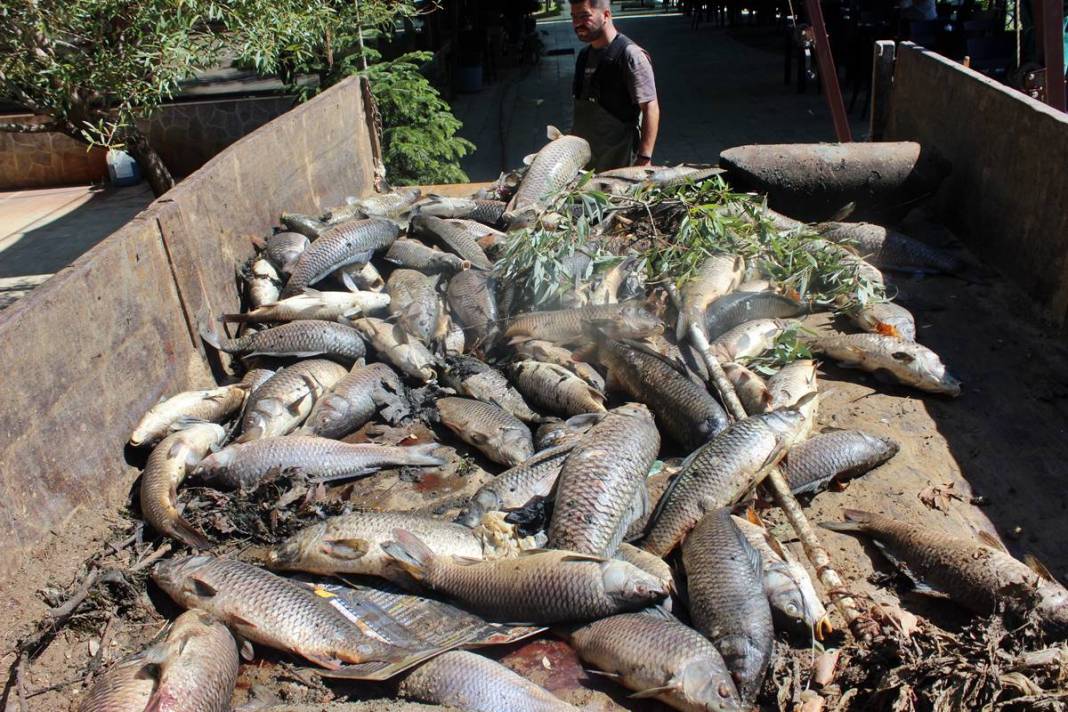 O kentte korkunç manzara: Maske ve eldivenle kamyonete yüklediler! Mahalleli endişeli: Daha önce böyle bir şey yaşamadık 5